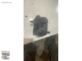 03P129086B vw polo 1.2 tdi emme manifold kelebeği