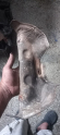 Oto Çıkma Parça / Renault / Scenic / Egzoz / Egzoz Manifoldu / Çıkma Parça 