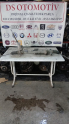 Oto Çıkma Parça / Ford / Transit / Direksiyon / Direksiyon Kutusu / Çıkma Parça 