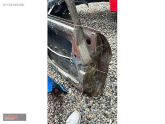 Oto Çıkma Parça / Ford / Fiesta / Kaporta & Karoser / Sol Ön Kapı / Çıkma Parça 
