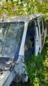 Ford cornet tavan