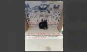 Oto Çıkma Parça / Mazda / B-2500 / Far & Stop / Sinyal Lambası / Sıfır Parça 