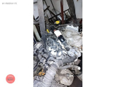 Oto Çıkma Parça / Renault / R 12 / Motor / Motor (komple) / Çıkma Parça 