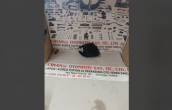 Oto Çıkma Parça / Toyota / Corolla / Far & Stop / Sinyal Lambası / Sıfır Parça 