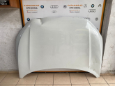 VOLKSWAGEN TİGUAN 2021- ÖN KAPUT ORJİNAL (PPF MEVCUT)