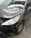 Peugeot 207 Kapı Camı