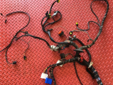 Oto Çıkma Parça / Ferrari / 360 / Elektrik / Elektrik Tesisatı / Çıkma Parça 