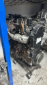 Oto Çıkma Parça / Opel / Vivaro / Motor / Motor (komple) / Çıkma Parça 