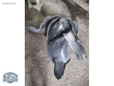 SEAT İBİZA ÇAMURLUK DAVLUMBAZI ORJİNAL 6J0809958-6P0809958
