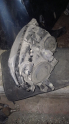Oto Çıkma Parça / Nissan / Qashqai / Far & Stop / Sol Ön Far / Çıkma Parça 