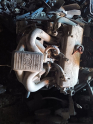 Oto Çıkma Parça / Bmw / 5 Serisi / Motor / Motor (komple) / Çıkma Parça 