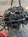 Oto Çıkma Parça / Volkswagen / Passat / Motor / Motor (komple) / Çıkma Parça 