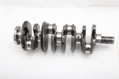 25183162 KRANK CAPTİVA C140 2.2