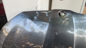 Oto Çıkma Parça / Skoda / Scala / Kaporta & Karoser / Kaput / Çıkma Parça 
