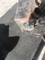 Oto Çıkma Parça / Renault / R 12 / Kalorifer / Kalorifer Motoru / Çıkma Parça 