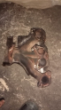 Dacia Logan  1.4 egzoz manifold