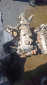 nissan sunny 1.5 motor