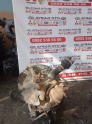 Oto Çıkma Parça / Mitsubishi / L300 / Alt Takım / Taşıyıcı / Çıkma Parça 