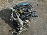 Oto Çıkma Parça / Ford / Kuga / Motor / Motor (komple) / Çıkma Parça 