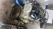Oto Çıkma Parça / Volkswagen / Golf / Motor / Motor (komple) / Çıkma Parça 