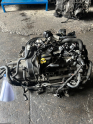 Oto Çıkma Parça / Volkswagen / Polo / Motor / Motor (komple) / Çıkma Parça 