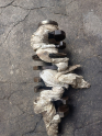 Oto Çıkma Parça / Peugeot / 607 / Motor / Krank / Çıkma Parça 