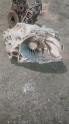2004-2008 FORD TRANSİT CONNECT ŞANZIMAN MUHAFAZA