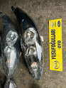 Oto Çıkma Parça / Ford / Fiesta / Far & Stop / Sol Ön Far / Çıkma Parça 