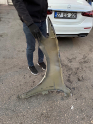 Oto Çıkma Parça / Volkswagen / Passat / Kaporta & Karoser / Sağ Ön Çamurluk / Çıkma Parça 