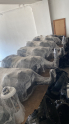 Ducato 3 mazot deposu