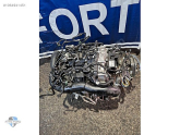 Oto Çıkma Parça / Ford / Focus / Motor / Blok / Çıkma Parça 