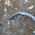 Oto Çıkma Parça / Fiat / Egea / Tampon / Arka Tampon / Çıkma Parça 