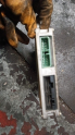 Oto Çıkma Parça / Honda / CRX / Beyin / Motor Beyni / Çıkma Parça 