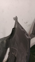 Oto Çıkma Parça / Volkswagen / Transporter / Tampon / Ön Tampon / Çıkma Parça 