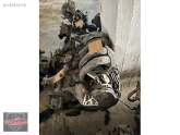 ducato motor