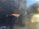 Oto Çıkma Parça / Ford / Mondeo / Kaporta & Karoser / Kaput / Çıkma Parça 
