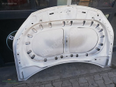Oto Çıkma Parça / Volkswagen / Tiguan / Kaporta & Karoser / Kaput / Çıkma Parça 