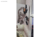 Oto Çıkma Parça / Honda / Civic / Airbag / Emniyet Kemeri / Çıkma Parça 