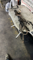 Oto Çıkma Parça / Hyundai / Accent / Direksiyon / Direksiyon Kutusu / Çıkma Parça 