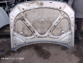 Oto Çıkma Parça / Volkswagen / Passat / Kaporta & Karoser / Kaput / Çıkma Parça 