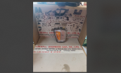 Oto Çıkma Parça / Toyota / Hilux / Far & Stop / Sinyal Lambası / Sıfır Parça 