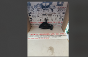 Oto Çıkma Parça / Mazda / 323 / Far & Stop / Sinyal Lambası / Sıfır Parça 