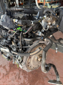 Oto Çıkma Parça / Audi / A5 / Motor / Motor (komple) / Çıkma Parça 
