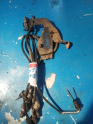 Oto Çıkma Parça / Fiat / Doblo / Motor / Oksijen Sensörü / Çıkma Parça 