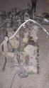 A160 168 KASA MERCEDES 166 KOMPLE DOLU MOTOR