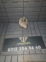 Oto Çıkma Parça / Opel / Astra / Elektrik / Şarj Dinamosu / Çıkma Parça 