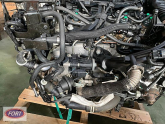 Oto Çıkma Parça / Ford / Focus / Motor / Motor (komple) / Çıkma Parça 