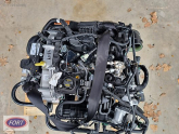 Ford Fiesta 2018-2024 Modelleri Arası 1.0 Ecoboost Motor+Montaj
