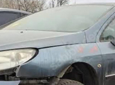 Peugeot 407 Kapı Camı