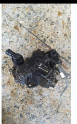 Oto Çıkma Parça / Renault / Master / Motor / Mazot Pompası / Çıkma Parça 